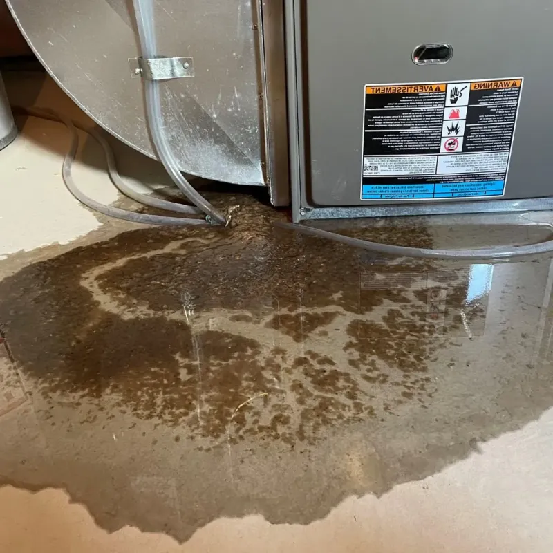 Pipe Burst and Leak Restoration in Covington, IN