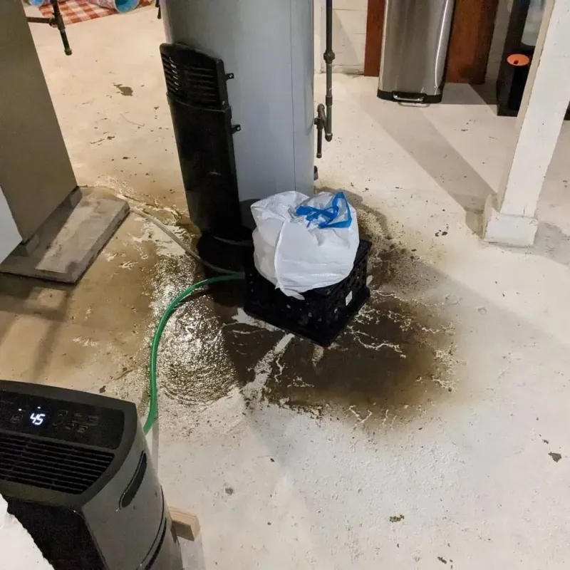 Sewage Backup Cleanup Service in Covington, IN